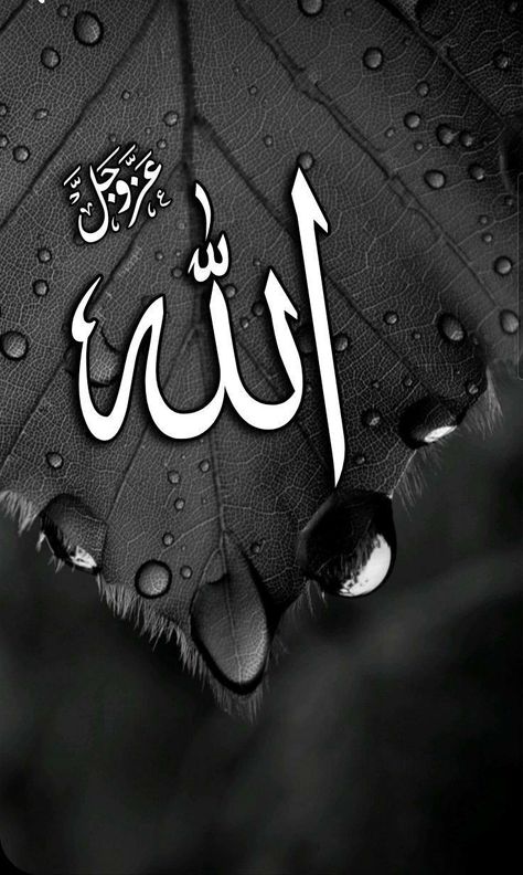 Flower Wallpaper Allah, Printable Islamic Art, Jumma Mubarak Beautiful Images, Islamic Wallpaper Iphone, Islamic Wallpaper Hd, Ayat Quran, Allah Names, Muslim Pictures, Iphone Wallpaper Hd Nature