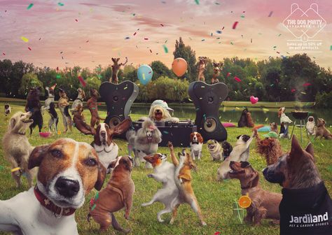 Jardiland: The dog party | Ads of the World™ Funny Cover Photos, Animal Gang, Minimal Ads, Dog Festival, Creative Advertisement, La Chose, Dont Touch My Phone Wallpaper, Anime Mobile, Group Of Dogs