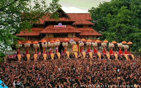 Thrissur Pooram Photography, Thrissur Pooram, Kerala Culture, Dj Movie, Simple Living Lifestyle, Elephant Wallpaper, School Board Decoration, Indian Arts, Krishna Hindu