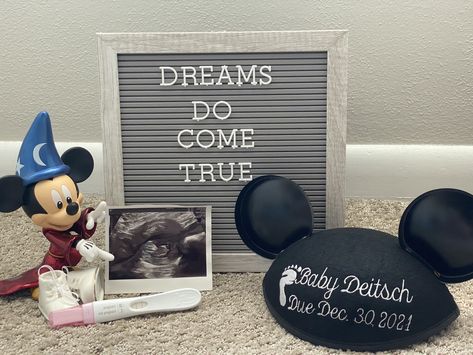 Disney Pregnancy Reveal, Miracle Baby Announcement, Disney Baby Announcement, Disney Pregnancy Announcement, Disney Gender Reveal, Ivf Pregnancy Announcement, Second Baby Announcements, Disney Maternity, Announcement Pictures