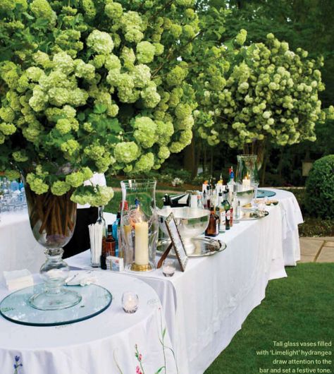 Flowers In Vases, Bouquet Champetre, Limelight Hydrangea, Hydrangea Arrangements, Backyard Entertaining, Fool Proof Recipes, Deco Floral, Outdoor Party, Green Wedding