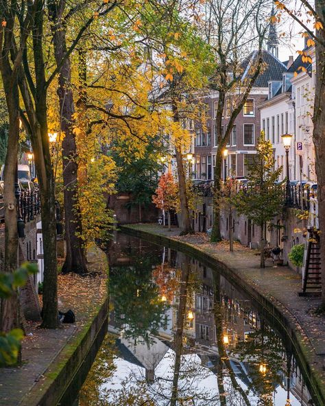 Utrecht Netherlands, Walk Outside, Amsterdam Holland, Netherlands Travel, Europe Tours, Autumn Scenery, Landscape Scenery, City Aesthetic, Utrecht