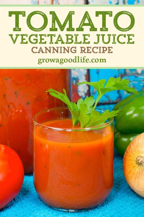 Canned V8 Juice Recipe, Canning Tomatoes Recipes, Vegetable Juice Recipes, V8 Juice, Preserving Vegetables, Veggie Juice, Canning Recipe, Canned Vegetables, Tomato Vegetable