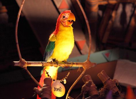 photography. Enchanted Tiki Room Birds, Tiki Room Birds, Tiki Room Disney, Walt Disney's Enchanted Tiki Room, Disney Birds, Disney Enchanted, Enchanted Tiki Room, Tiki Room, Peacocks