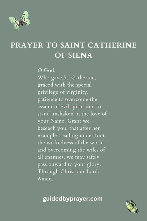 Saint Catherine Of Siena Quotes, St Catherine Siena Quotes, Catholic Saints Prayers, Saint Catherine Of Siena, Prayers Of The Saints, Catherine Of Siena, St Catherine Of Siena, Saint Dominic, Saint Catherine