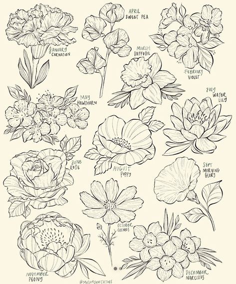 Monthly Flower Chart, Birth Month Flower Sketches, Birth Flower Half Sleeve, Birth Month Constellations, Mixed Flowers Tattoo, Cluster Of Flowers Tattoo, Floral Tattoo Design Forearm, Birth Flower Chart, Brazilian Tattoo