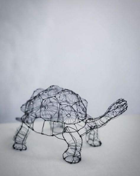 Mihoko Shida / シダミホコ (@tamtam_wire) • Снимки и видеоклипове в Instagram Wire Animals Sculpture, Fish Wire Sculpture, 3d Wire Sculpture, Wire Sculpture Ideas, Art With Wire, Wire Sculpting, Metal Sculpture Ideas, Metal Wire Sculpture, Metal Wire Art