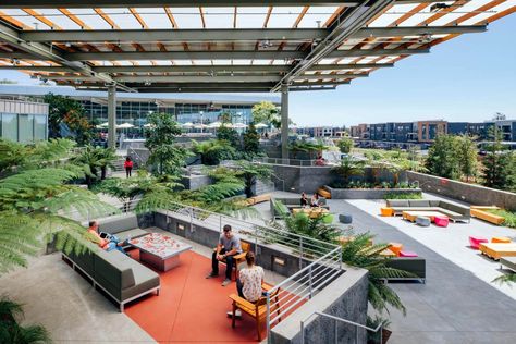 The Bowl - MPK 21 | Meta California Architecture, Terrasse Design, Campus Design, Rooftop Design, Menlo Park, Frank Gehry, Garden Architecture, Terrace Design, Rooftop Garden