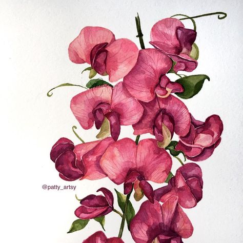 Sweet Pea Painting, Sweet Pea Tattoo, Sweet Pea Flower, Painting Flowers Tutorial, Sweet Pea Flowers, Flowers Tutorial, Here We Go Again, Pea Flower, Painting Flowers