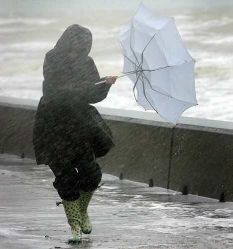 Umbrella Fashion Photography, Rain Meme, Windy Girl, Windy Skirts, Ladies Umbrella, Person Falling, Hair In The Wind, Fashion Umbrella, The Odyssey