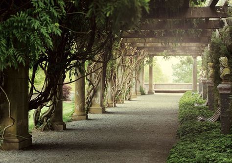 Pergola Arbor, Wedding Venues North Carolina, Biltmore House, Outdoor Walkway, Romantic Wedding Venue, Estate Garden, Garden Vines, Garden Wedding Venue, North Carolina Mountains