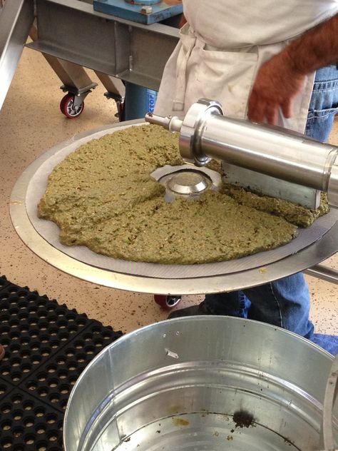 Pressing olives ... Press Photography, Olive Press, Olive Oils, Puglia, Dog Bowls, Olive Oil, Photography, Quick Saves