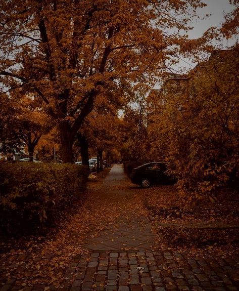 Dark Autumn, Autumn Scenes, Fall Inspo, Autumn Scenery, Season Of The Witch, Fall Feels, Best Seasons, Fall Pictures, We Fall In Love