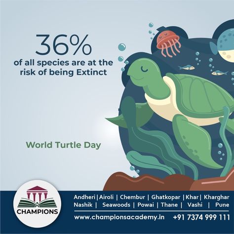 The day was created as an annual observance to help people celebrate and protect turtles and tortoises as well as their disappearing habitats around the world. #TurtleDay #TurtleConservation #SeaTurtle #TurtleRescue #WorldTurtleDay World Turtle, World Turtle Day, Turtle Day, Turtle Conservation, Daycare Ideas, Help People, Sea Turtle, Turtles, Helping People