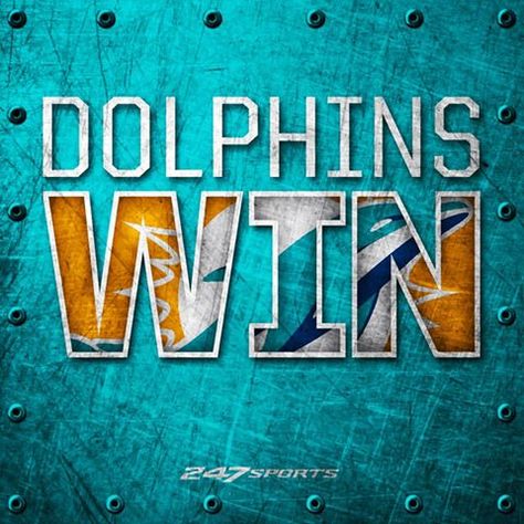 No automatic alt text available. Dolphins Wallpaper, Miami Dolphins Wallpaper, Miami Dolphins Funny, Florida College, Miami Dolphins Logo, Colleges In Florida, Miami Dolphins Football, Dolphins Football, Nfl Miami Dolphins