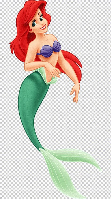 Ariel Illustration, Belle Cartoon, Ariel Characters, Ariel Cartoon, The Little Mermaid Ursula, Disney Princess Png, Little Mermaid Characters, Disney Png, Character Disney