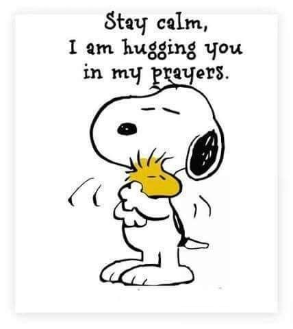 Gifs Snoopy, Snoopy Hug, Hug Pictures, Charlie Brown Quotes, Snoopy Cartoon, Hug Quotes, 귀여운 음식 그림, Snoopy Funny, Snoopy Images