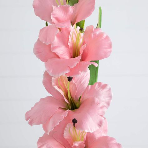 "Find the 45\" Pink Gladiolus Flower Stems, 3ct. at Michaels. com. If you want to make a statement, look no further than this trio of artificial gladiolus flower stems. Inspired by nature, the tall, fiery blooms stand with an effortless grace. Each stem boasts a series of bold blossoms, accented by delicate green tips that hint at new growth. If you want to make a statement, look no further than this trio of artificial gladiolus flower stems. Inspired by nature, the tall, fiery blooms stand with Pink Gladiolus Flower, Pink Gladiolus, Travertine Outdoor, Gladiolus Flower, Pergola Garden, Natural Stone Pavers, Green Tips, Trellis Plants, Flower Stems