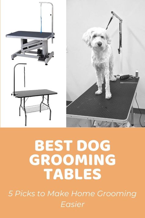 Dog Grooming Set Up At Home, Home Dog Grooming Station, Dog Grooming Station At Home, Doodle Grooming, Dog Grooming Table, Trimming Dog Nails, Dog Grooming Diy, Goldendoodle Grooming, Grooming Table