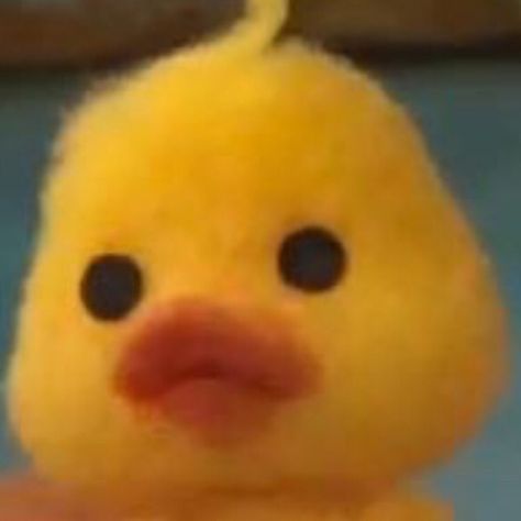 Duck Duck Matching Pfp, Matching Pfp For 3, Matching Pfp, Yellow, Funny