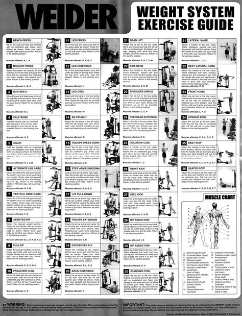 Weider Pro 6900 Exercise Chart Weider Pro 6900 Exercise Chart, Home Gym Exercise Chart Workout Plans, Multi Gym Workout Plan, Weider Home Gym Workouts, Home Gym Machine Workout, Total Gym Exercise Chart, Gym Workouts Machines, Gym Items, Exercise Chart