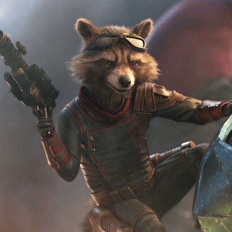 Is Rocket going to die in Guardians of the Galaxy Vol 3? Rocket Raccoon, Guardians Of The Galaxy, The Galaxy, Rocket, Google Search