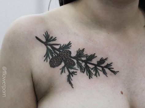 Larch branch tattoo for Anna. Larch Tattoo, Anna Tattoo, Tattoo Baby, Pretty Flower Tattoos, Artwork Tattoo, Floral Tattoo Shoulder, Small Chest Tattoos, Floral Thigh Tattoos, Tattoos For Dog Lovers