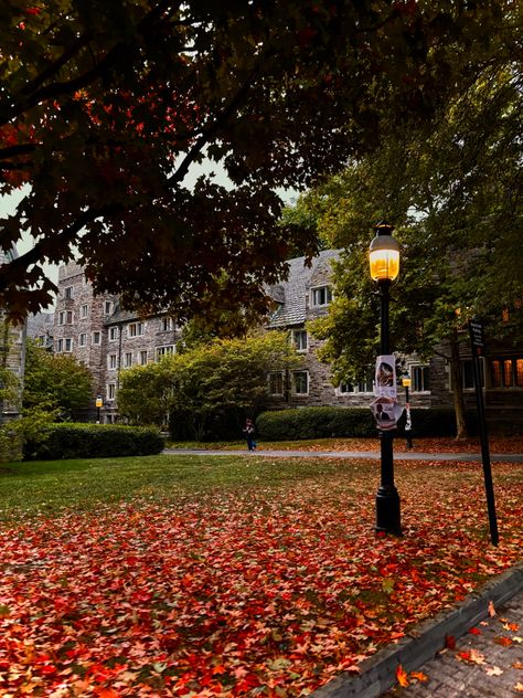 Princeton campus covered in red orange and yellow leaves on a cloudy day foggy weather lampost on the side East Coast College, East Coast Fall, Autumn Leaves Falling, It's The Great Pumpkin, Leaves Falling, Character Aesthetics, College Campus, Fall 2024, Fall Vibes