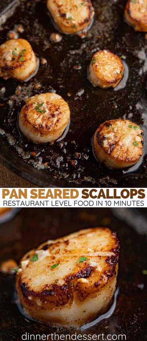 Brown Butter Seared Scallops, Best Seared Scallops, Pan Seared Sea Scallops, Scallops Pan Seared, Pan Seared Scallops Recipe, Pan Seared Scallops Butter, Sauteed Shrimp And Scallops, Sea Scallops Seared, Pan Seared Scallops Easy