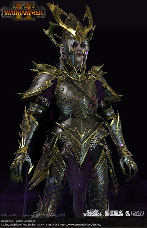 Evil Elves, Warhammer Dark Elves, Witch Elves, Warhammer Fantasy Roleplay, Halo Armor, Dark Elves, Dark Eldar, Caracter Design, Elves Fantasy