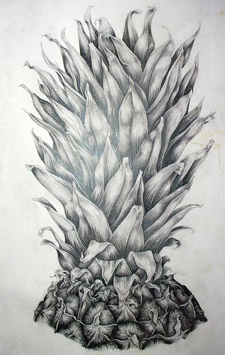 Drawing Pineapple, Well Drawing, Natural Forms Gcse, Observation Drawing, Pencil Sketches Landscape, Drawing With Pen, Pineapple Drawing, Decay Art, Drawing Something