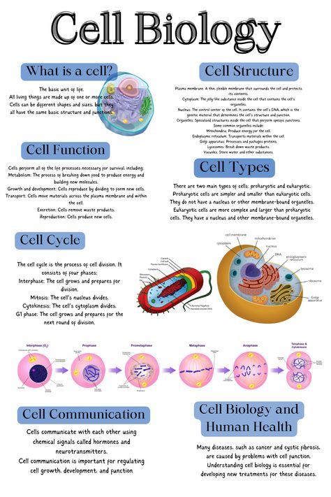 CELL STRUCTURE AND FUNCTION NCERT HIGHLIGHTS Plant Physiology Notes, Abc Of Biology, Cell Structure Notes, Cell Function And Structure, Biology Reproduction Notes, Cell Structure And Function, Cell Structure And Function Notes, Biology Cell, Cell Notes