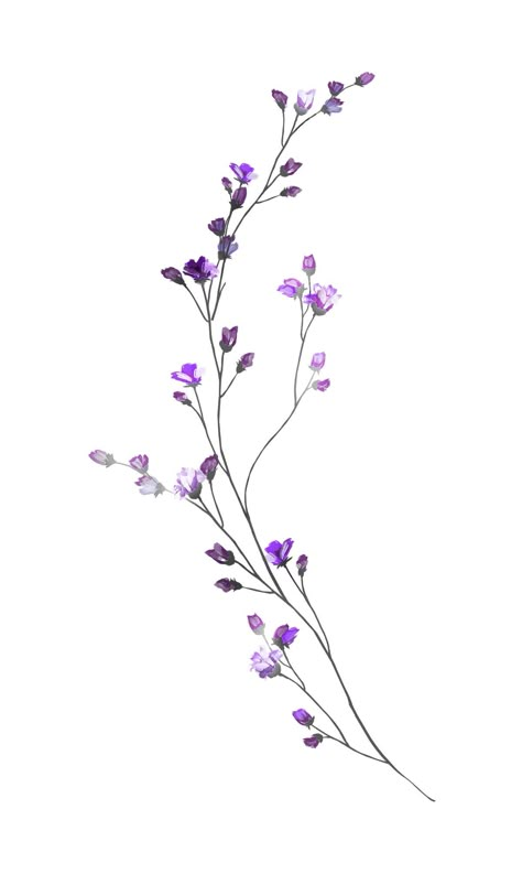 Flower Tattoos Lilacs, Lilac Vine Tattoo, Lilac Flowers Tattoo, Flowering Vine Tattoo, Vine Flowers Tattoo, Pastel Flower Tattoo, Flower Vines Drawings, Floral Vine Drawing, Vine And Flower Tattoo