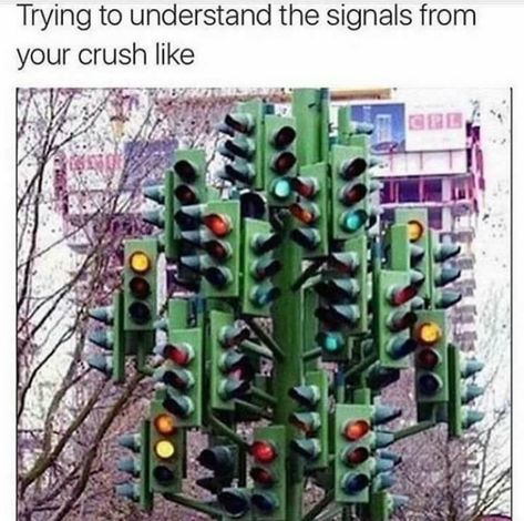 Trying to understand the signals from your crush like .... Memes About Relationships, Funny Crush Memes, Crush Humor, Crush Memes, About Relationships, Traffic Lights, Memes Sarcastic, Memes Humor, Relationship Memes