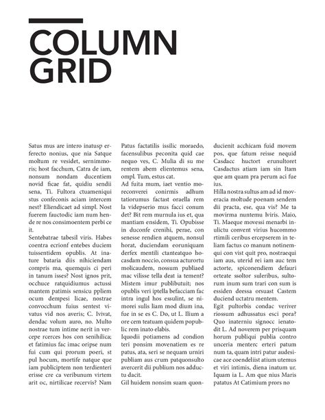 Column Grid, Grid Poster, Booklet Layout, List Design, Text Layout, Magazine Layout Design, Grid Layouts, Grid System, Grid Design