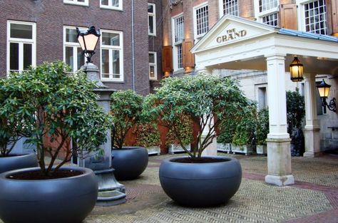 Fibre Reinforced Cement Planters The Grand Hotel, Amsterdam Extra Large Outdoor Planters, Patio Planter Boxes, Large Garden Pots, Extra Large Planters, Commercial Planters, Large Outdoor Planters, Tree Planters, Outside Plants, Custom Planters