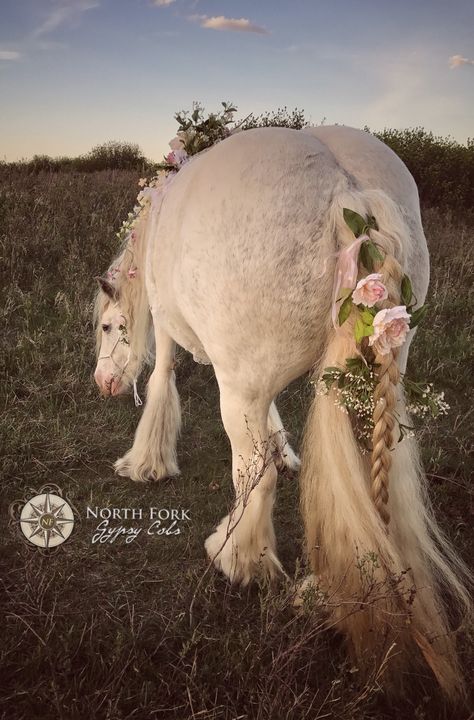 Horse Waterfall Braid, Horses With Flowers In Hair, Flowers In Horse Mane, Braided Horse Tail, Horse Mane Ideas, Horse With Braids, Horse Hair Styles, Horse Mane Styles, Maternity Photos Flowers