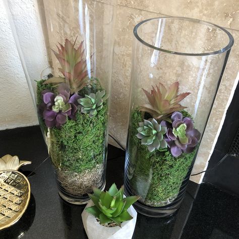 I could never figure out what to do with these large vases other than at Christmas and filling them with Christmas ornaments, and other holidays. But this is the perfect solution! Moss and succulents from Dollar Tree! Vase on left is 20” tall, vase on right is 16” tall. Ideas To Fill Glass Vases, Large Clear Vase Filler Ideas, Filling Vases Ideas, Cylinder Glass Vase Ideas, Tall Glass Vases Decor Ideas, Tall Vase Terrarium, Large Cylinder Vase Decor, Large Clear Glass Vases Decor Ideas, Clear Vase Christmas