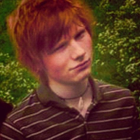 FETUS ED Ed Sheeran Young, Ed Shiran, Ginger Men, King Edward, Beginning Writing, Music Cds, Guitar Stuff, Dan And Phil, Funny Movies