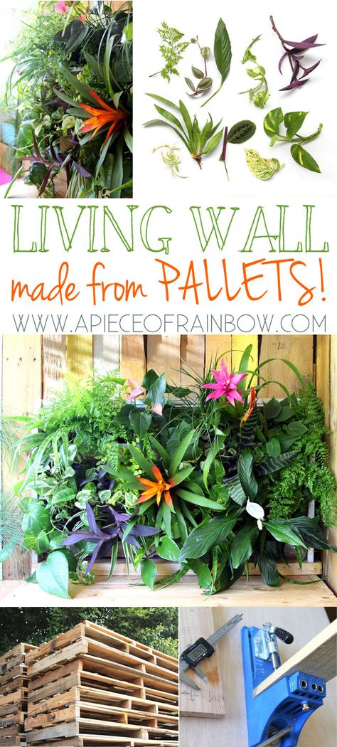 DIY Tropical Pallet Living Wall : Great pallet project that anyone can build it in less than 1 hour. Easy to maintain, and beautiful.-  via A Piece Of Rainbow Tropical Pallet, Pallet Planter Ideas, Diy Pallet Planter, Living Wall Diy, Spring Diy Projects, Diy Container Gardening, Pallet Projects Garden, Made From Pallets, Planter Project