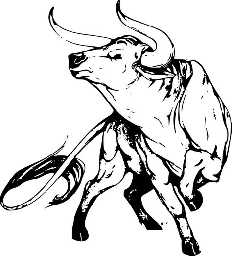 Bulls Head Tattoo, Bull And Matador Tattoo, Bull Drawing Taurus, Spanish Bull Tattoo, Bull Head Drawing, Ox Drawing, Bull Art Drawing, Bull Sketch, Bull Jumping