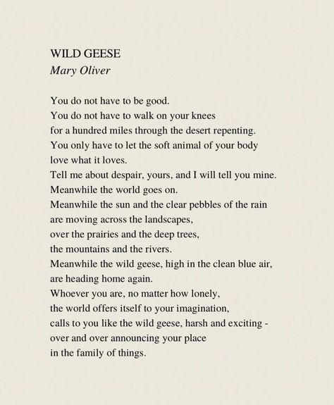 Sylvia Plath Fig Tree, Wild Geese Mary Oliver, Bird Poems, Mary Oliver Poems, Wild Geese, Mary Oliver, Words Of Affirmation, Just Breathe, Body Love