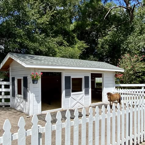 Farm Animals House Ideas, Donkey Stable Ideas, Donkey Barn Ideas, Sheep House Ideas, Small Cow Shed Design, Horse Pen Ideas, Sheep Barn Ideas, Barn Designs Ideas, Goats House