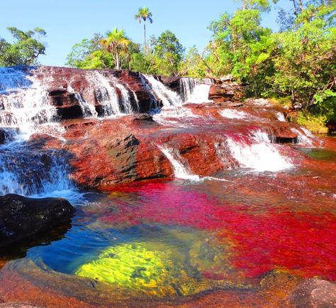 Lake Retba, Fly Geyser, Liquid Rainbow, Rainbow River, Places Worth Visiting, Tunnel Of Love, Aquatic Plant, Rainbow Mountain, Iguazu Falls