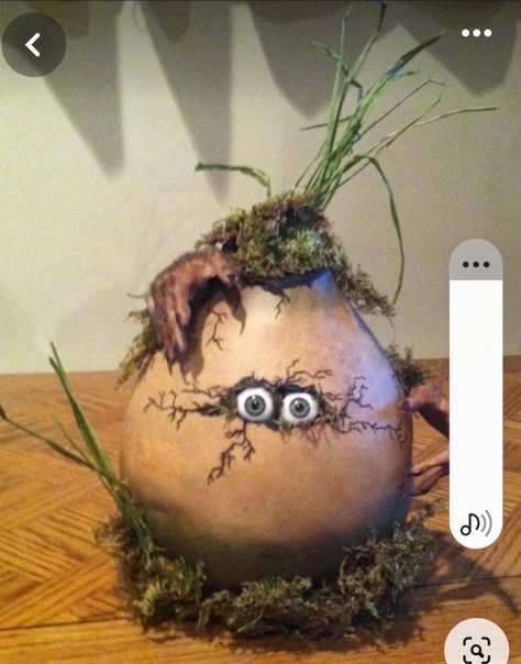 Gourd Art For Halloween, Facts About Halloween, Fall Gourds, Halloween Gourds, Gorgeous Gourds, Decorative Gourds, Halloween Facts, Hand Painted Gourds, Painted Clay Pots