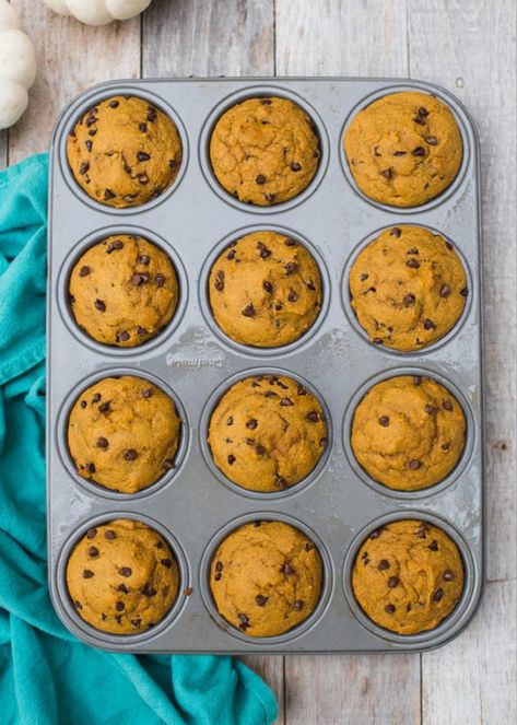 Muffins Chocolate Chip, Pumpkin Chocolate Chip Muffin Recipe, Kodiak Cakes Recipe, Vegan Pumpkin Muffins, Pumpkin Chocolate Chip Muffins, Kodiak Cakes, Pumpkin Chocolate Chip, Protein Muffins, Pumpkin Chocolate Chips