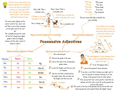 Possessive Adjectives in French, mind map Possessive Adjectives, Possessive Pronoun, French Grammar, Mind Map, Paper Crafts Diy, Crafts Diy, Grammar, Literature, Mindfulness