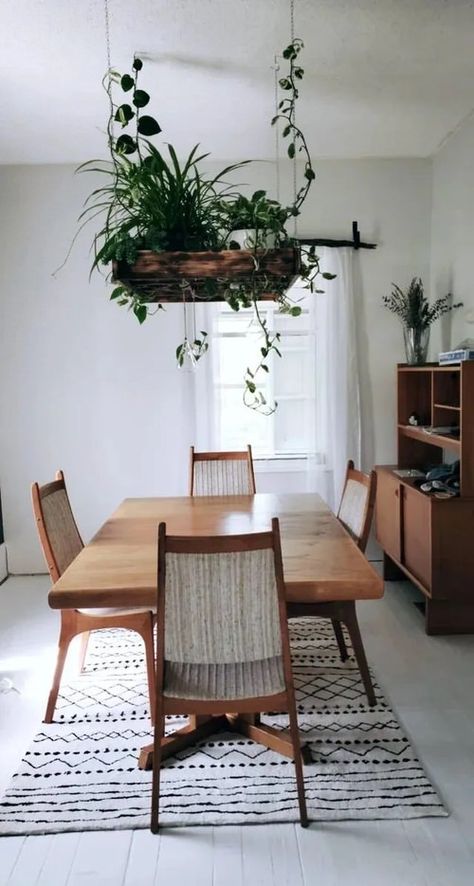 Plant Centerpieces, Kitchen Plants, Best Indoor Plants, Plant Decor Indoor, House Plants Decor, Decor Minimalist, Indoor Plant, Home Decor Tips, Hanging Plants