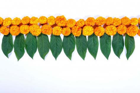 Marigold flower rangoli design for diwali festival , indian festival flower decoration Photo | Premium Download Marigold Flower Rangoli, Wedding Banner Design, Happy Diwali Rangoli, Rangoli Design For Diwali, Wedding Photography Album Design, Banner Clip Art, Flex Banner Design, Wedding Background Images, Diwali Decoration Items