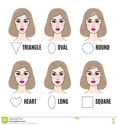 Different Face Shapes, Female Faces, Face Reference, Woman Face, Face Shapes, Stock Illustration, Stock Vector, Vector Illustration